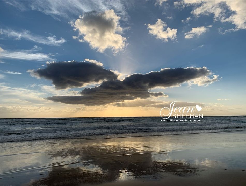 ﻿January 2020 Newsletter and Blog